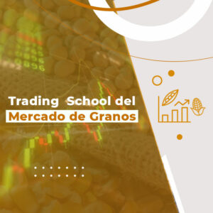 Curso Online Trading School del Mercado de Granos